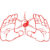 Group logo of Wing Chun